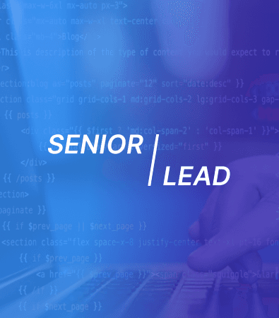 Decoding the Differences: Senior vs. Lead Developer