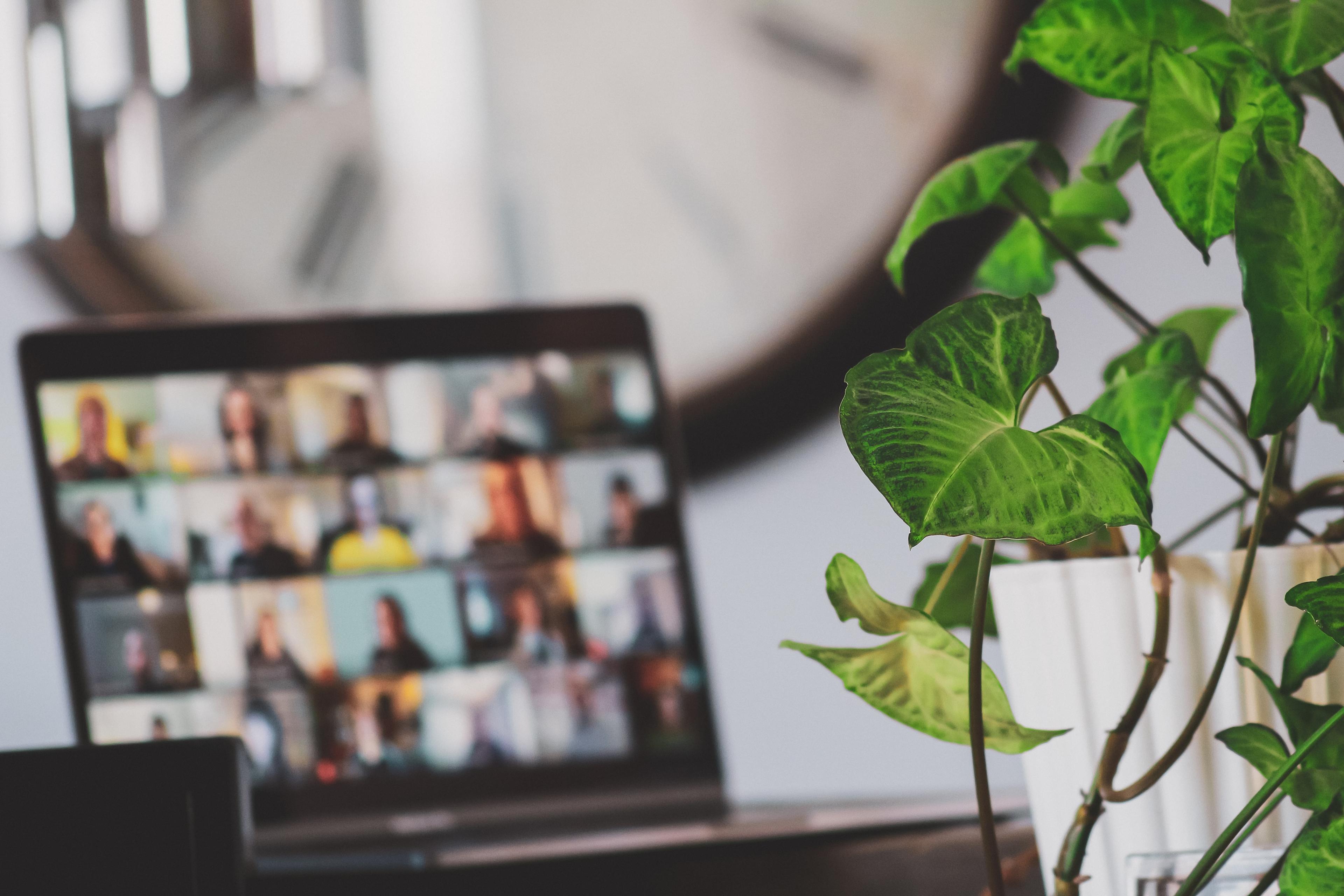 How to Manage a Remote Team in 4+ Effective Ways