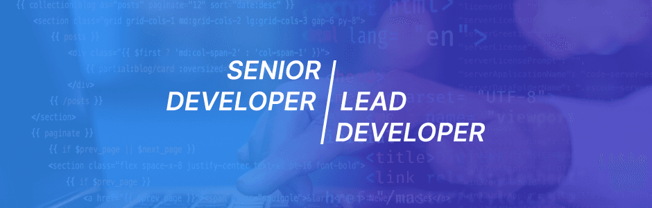 Decoding the Differences: Senior vs. Lead Developer